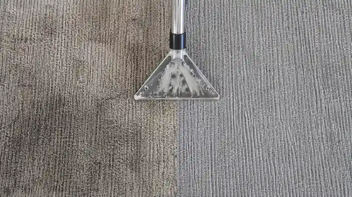Pembersihan Karpet & Upholstery